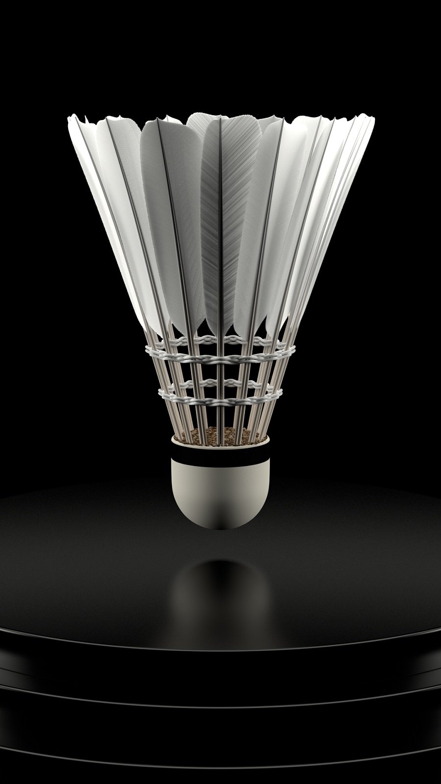 球员和海外 球员和海外